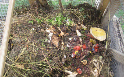 Ah, the Beautiful Smell of…Compost?!